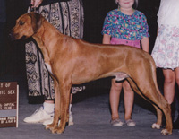 AslansJagerOfJenton (32K)