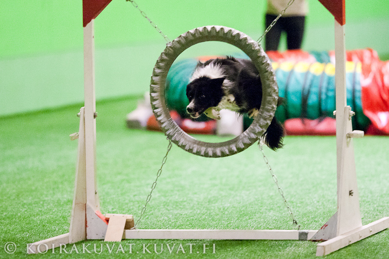 agi20120101_1MG_9187 (209K)