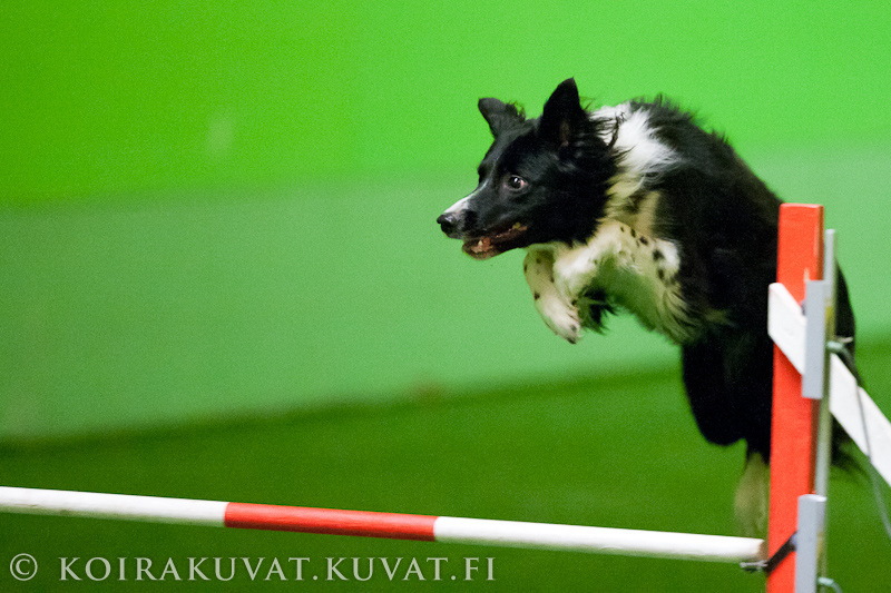 agi20120101_1MG_9188 (185K)