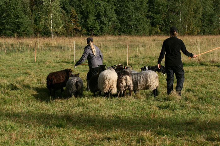 lampaillasyksy20121 (121K)