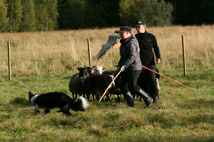 lampaillasyksy20122 (106K)