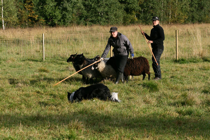 lampaillasyksy20123 (122K)