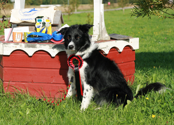 noppaagisert1 (306K)