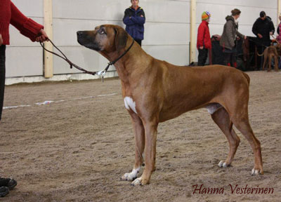 openshow2011-1 (92K)