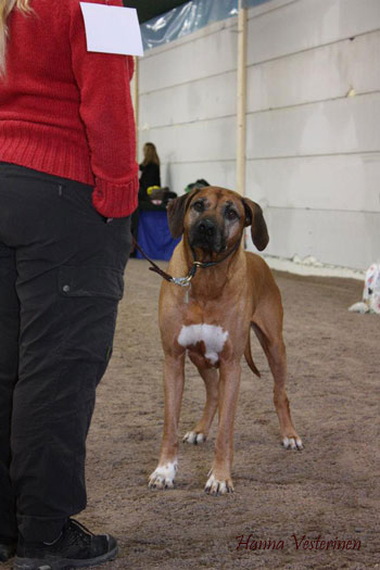 openshow2011-2 (110K)