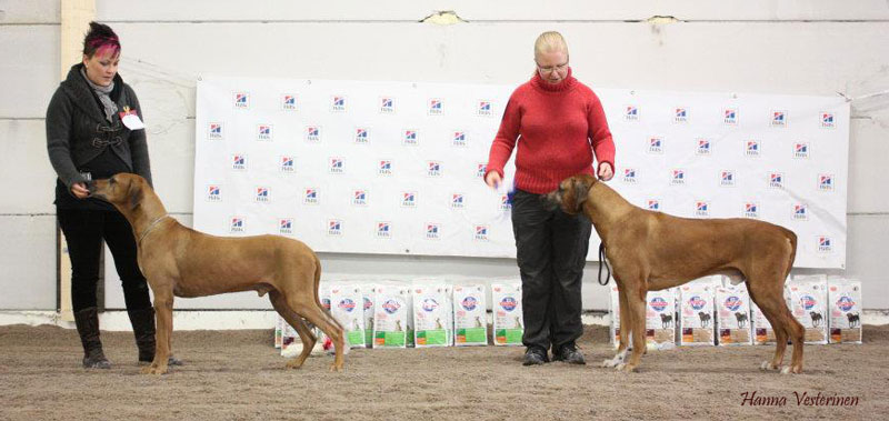 openshow2011-3 (69K)